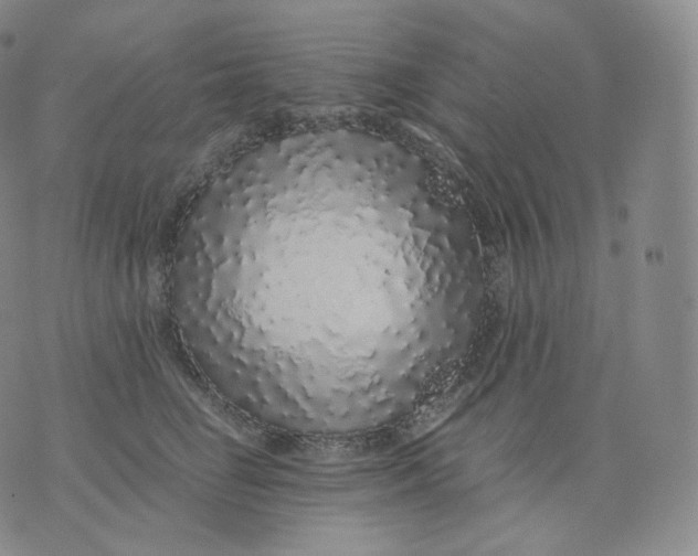 X0000076070662200610152229