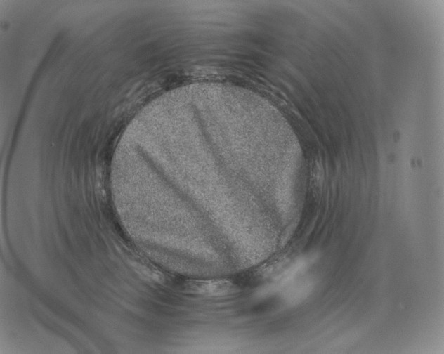 X0000076070663200610152229