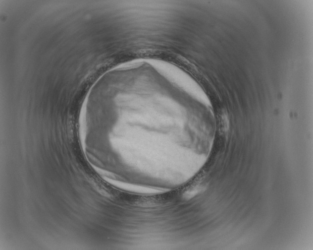 X0000076070664200610152229