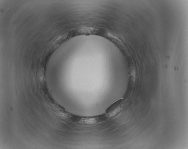 X0000076070665200610152229