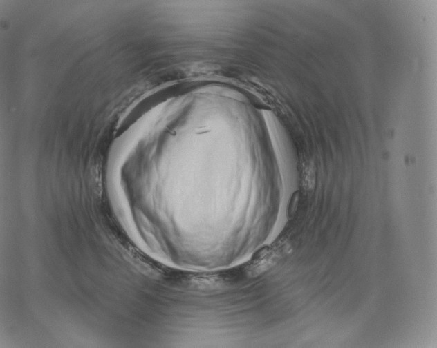 X0000076070666200610152229