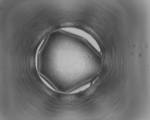 X0000076070669200610152229