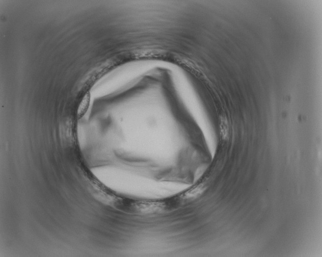 X0000076070670200610152229