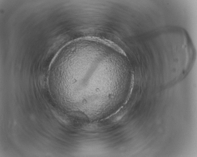 X0000076070671200610152229