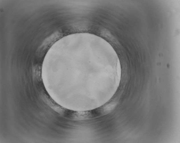 X0000076070672200610152229