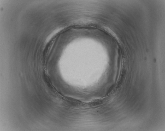 X0000076070675200610152228