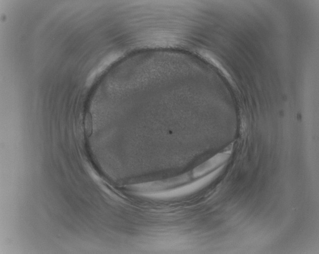 X0000076070677200610152228