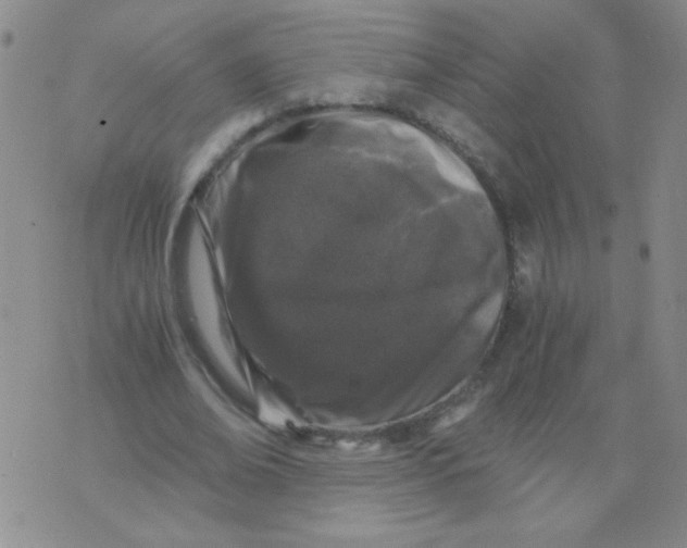 X0000076070678200610152228