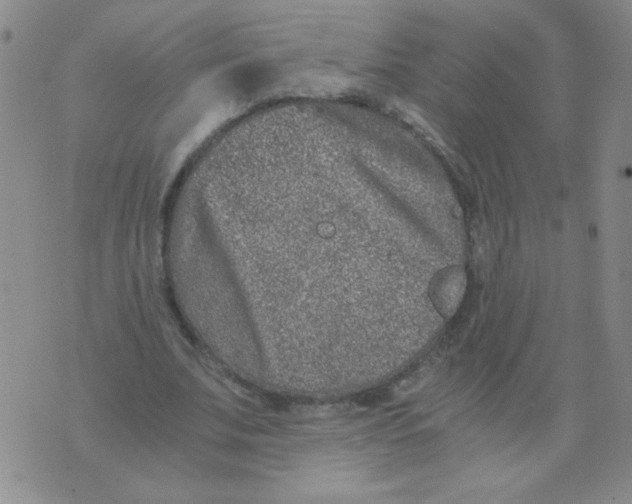 X0000076070679200610152228