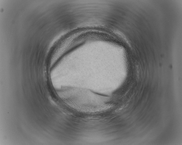 X0000076070680200610152228