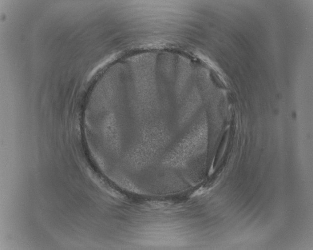 X0000076070681200610152228