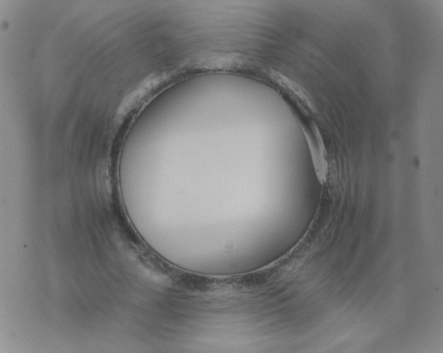 X0000076070682200610152228