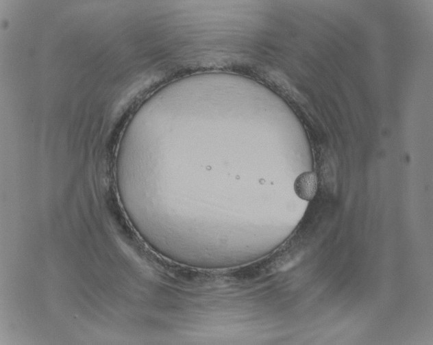 X0000076070683200610152228