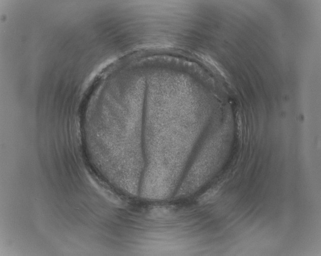 X0000076070684200610152228