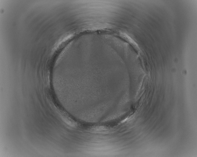 X0000076070685200610152228