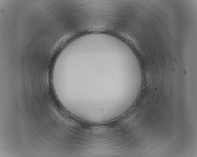 X0000076070686200610152228