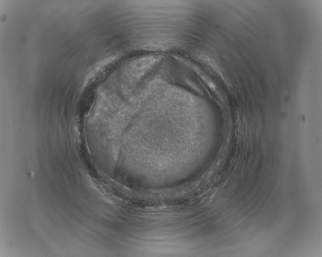 X0000076070688200610152228