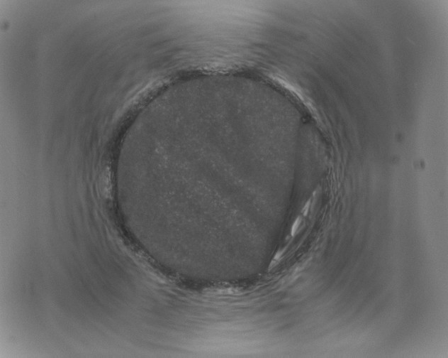 X0000076070689200610152228