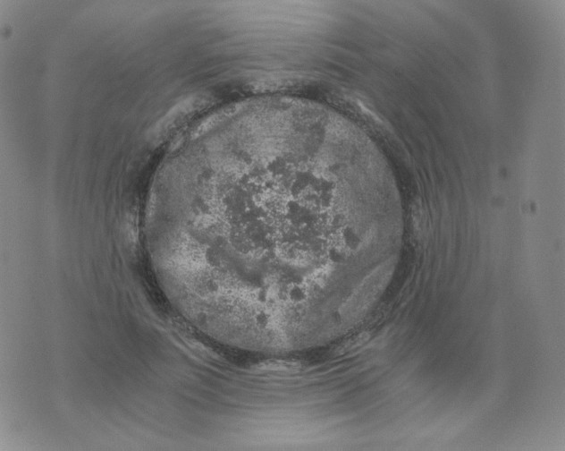 X0000076070691200610152228