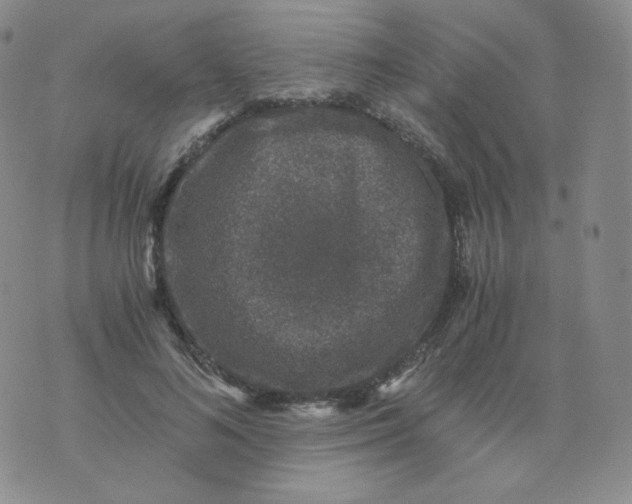 X0000076070692200610152228