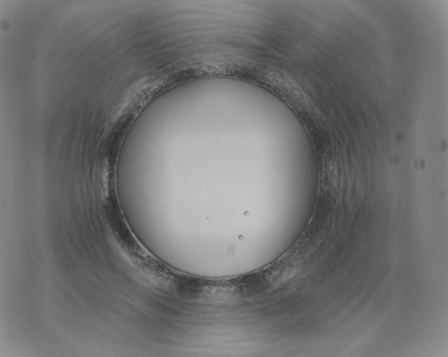 X0000076070694200610152228