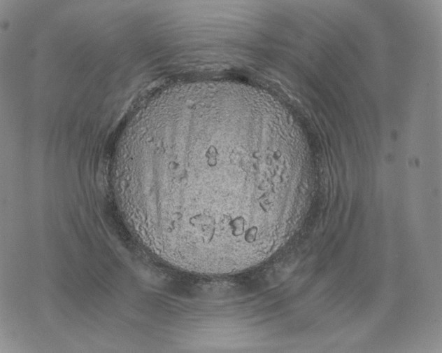 X0000076070695200610152228