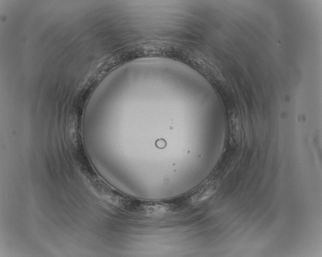 X0000076070698200610152228