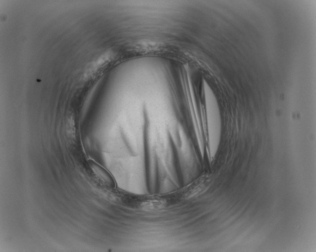 X0000076070700200610152228