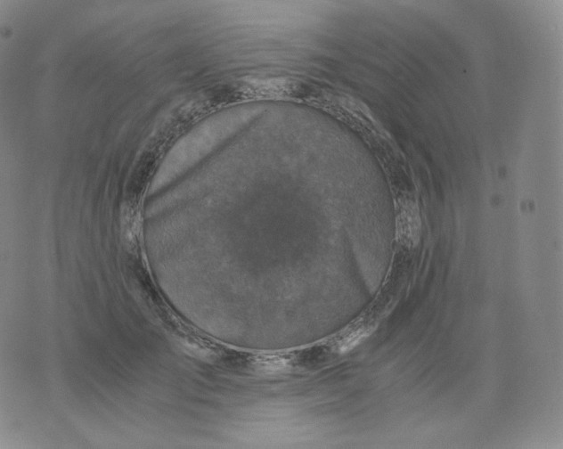 X0000076070701200610152228