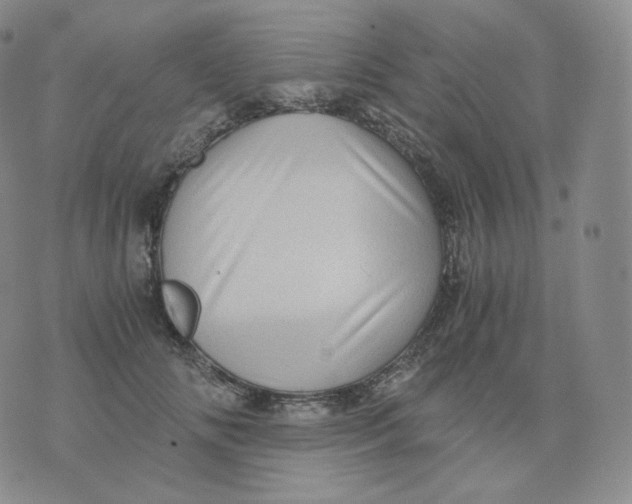 X0000076070702200610152228