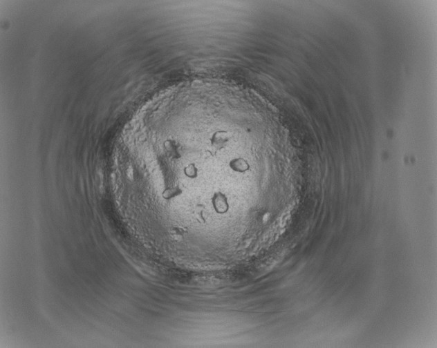 X0000076070703200610152228