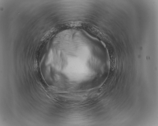 X0000076070704200610152228