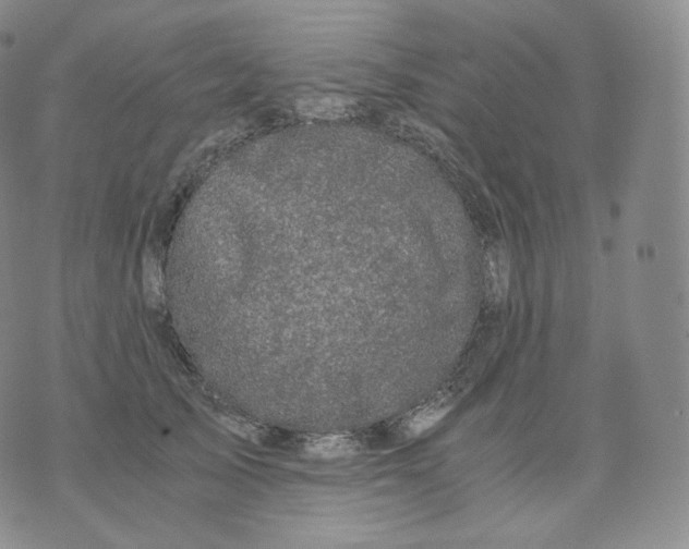 X0000076070705200610152228