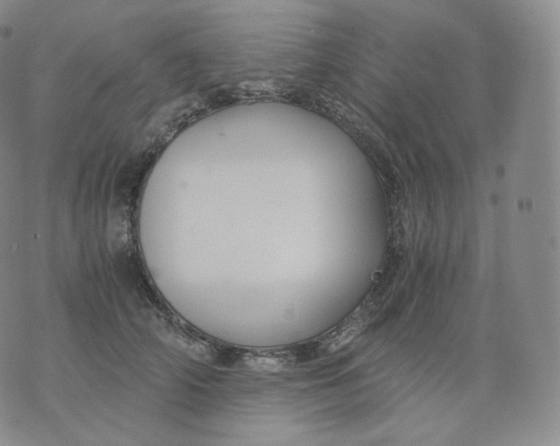 X0000076070706200610152228