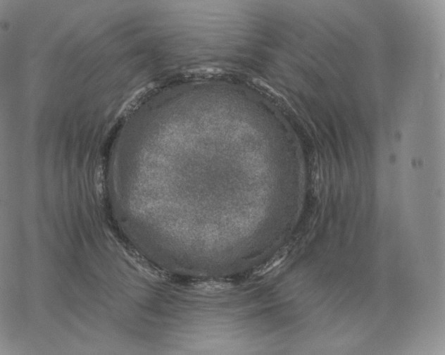 X0000076070708200610152228