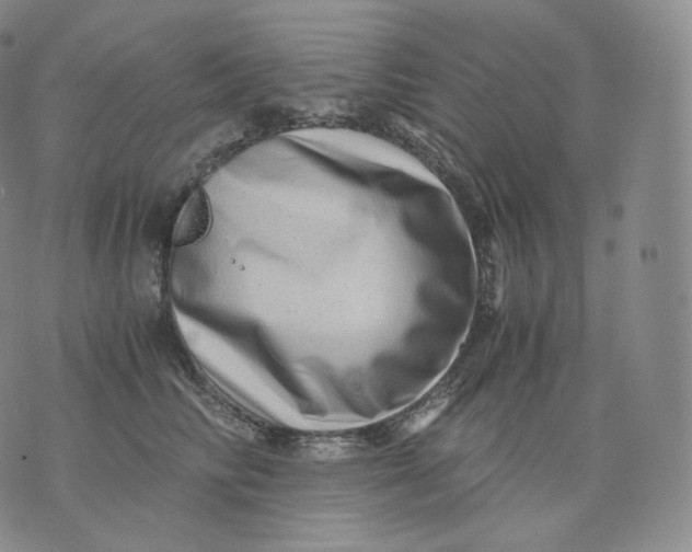 X0000076070710200610152228