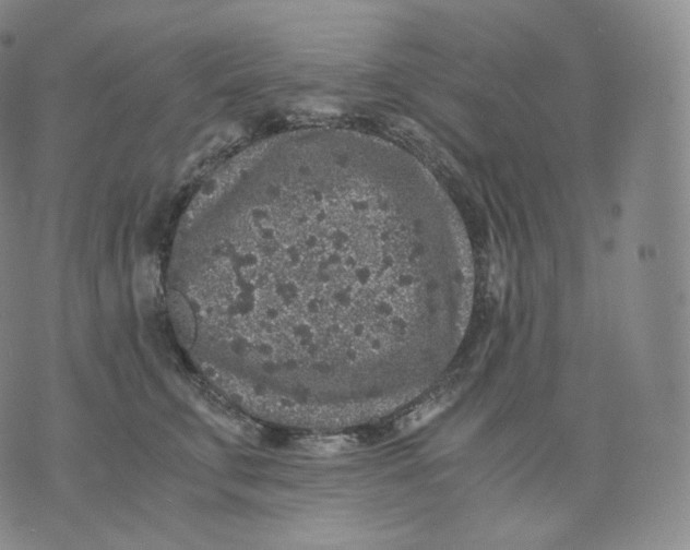 X0000076070711200610152228