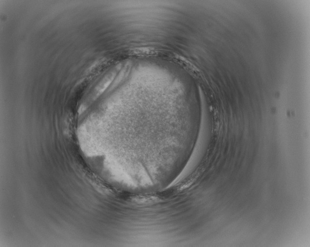 X0000076070712200610152228