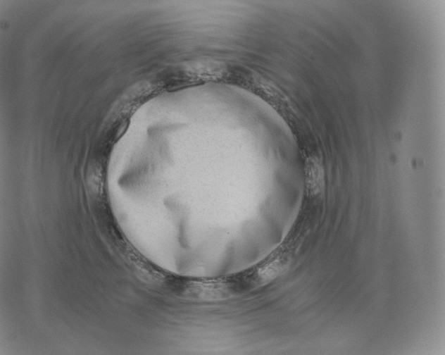 X0000076070713200610152228