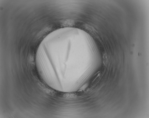 X0000076070714200610152228