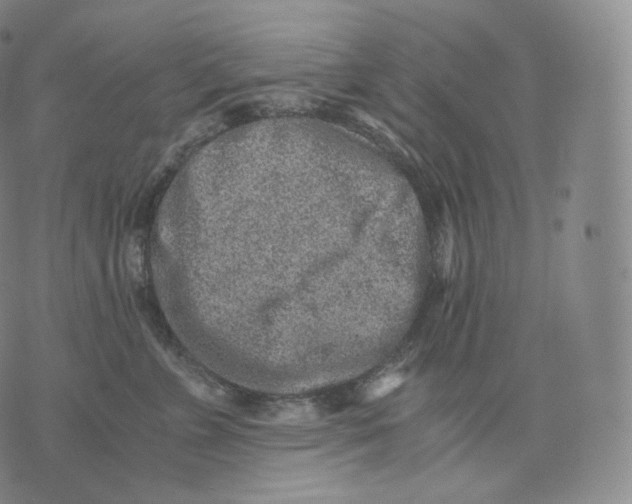 X0000076070715200610152228