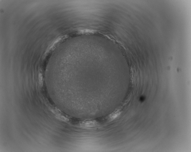 X0000076070716200610152227