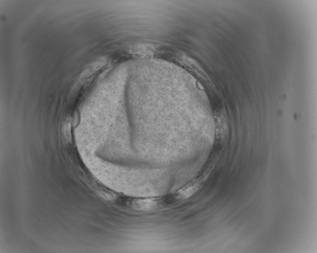 X0000076070717200610152227