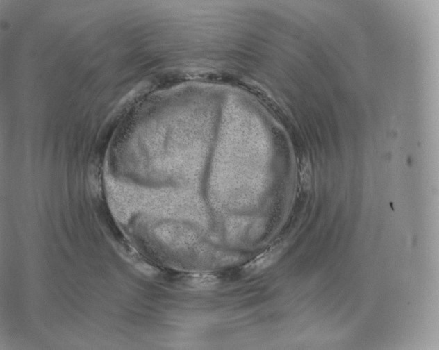 X0000076070719200610152227