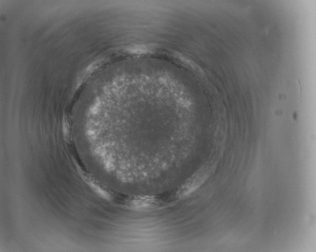 X0000076070720200610152227