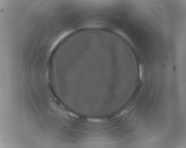 X0000076070723200610152227