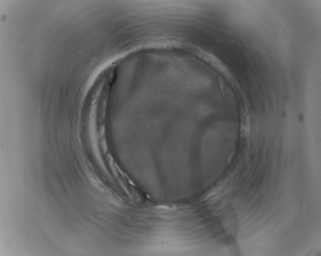 X0000076070724200610152227