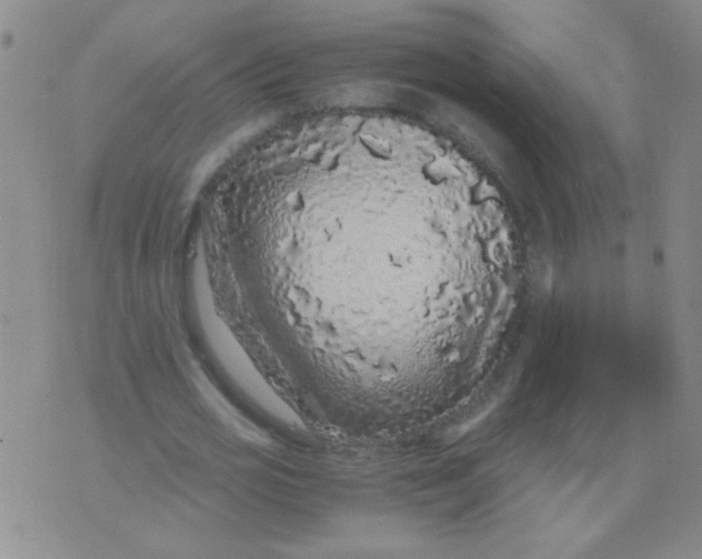 X0000076070725200610152227