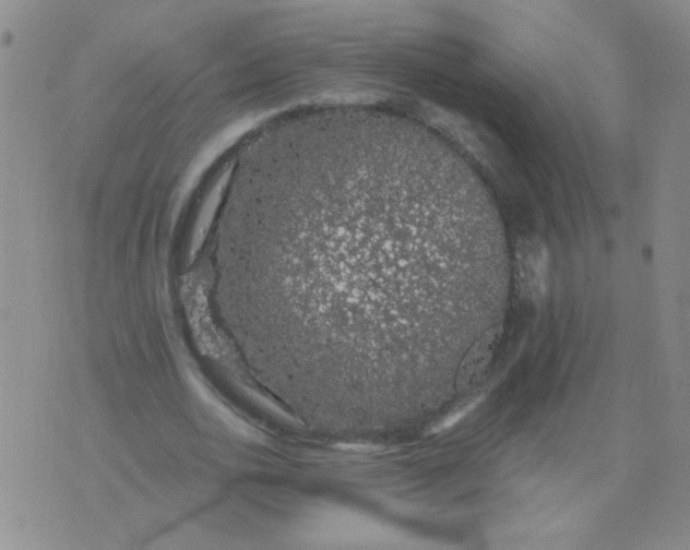 X0000076070726200610152227