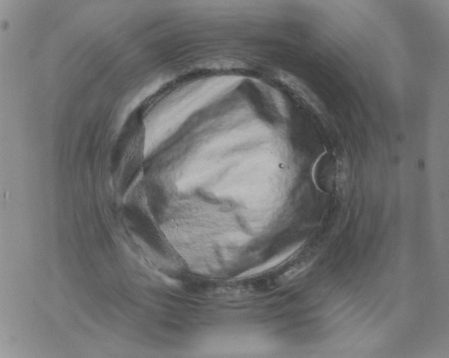 X0000076070727200610152227